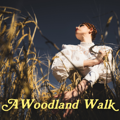 A Woodland Walk