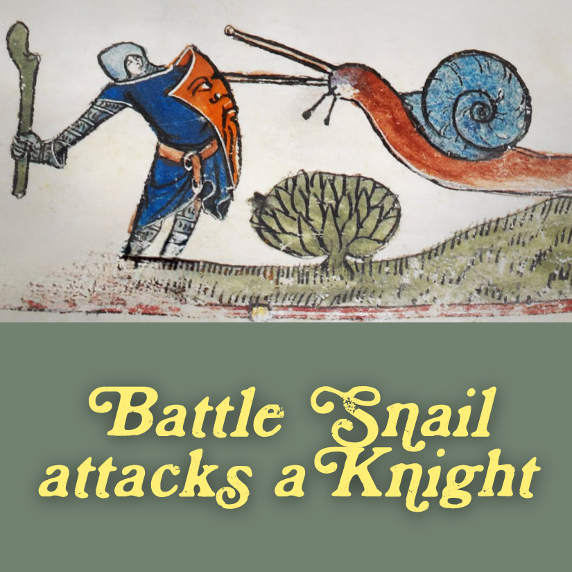 Battle Snail attacks a Knight