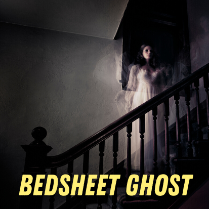 Bedsheet Ghost (Halloween 2023)
