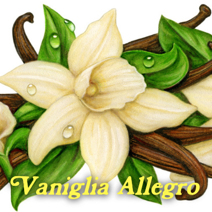 Vaniglia Allegro